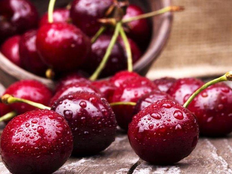Вишня купить саженцы из питомника в Коломне
